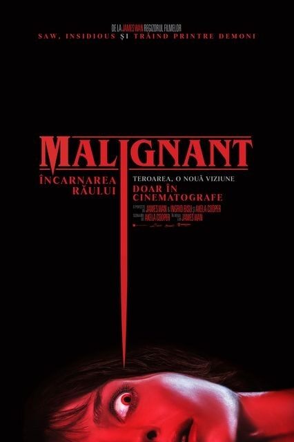 Malignant - Încarnarea Răului – 2D