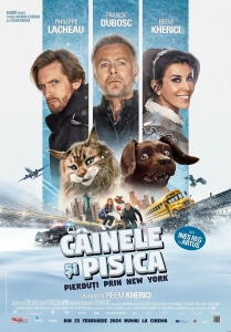 chien-et-chat-716815l-1600x1200-n-3d1b8eb2